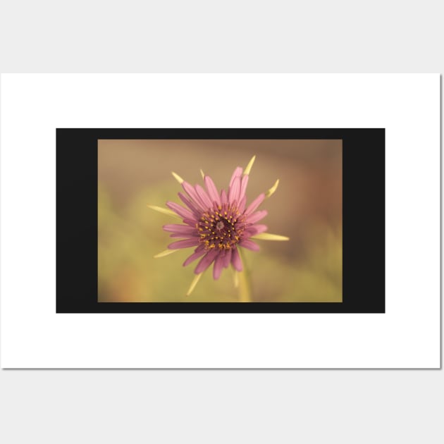 Pretty flower Wall Art by DeborahMcGrath